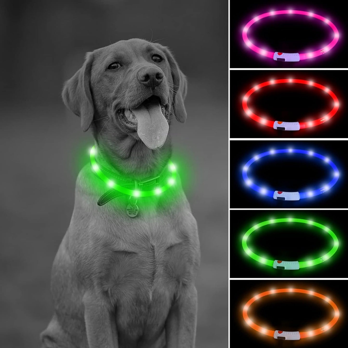 Illumifun LED Dog Collar – USB Rechargeable Light-Up Safety Collar for Small, Medium & Large Dogs (3 Glow Modes)
