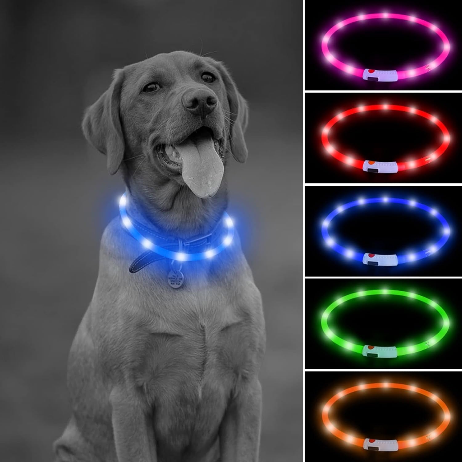 Illumifun LED Dog Collar – USB Rechargeable Light-Up Safety Collar for Small, Medium & Large Dogs (3 Glow Modes)