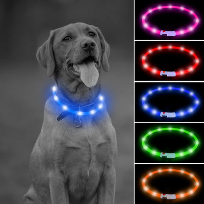 Illumifun LED Dog Collar – USB Rechargeable Light-Up Safety Collar for Small, Medium & Large Dogs (3 Glow Modes)