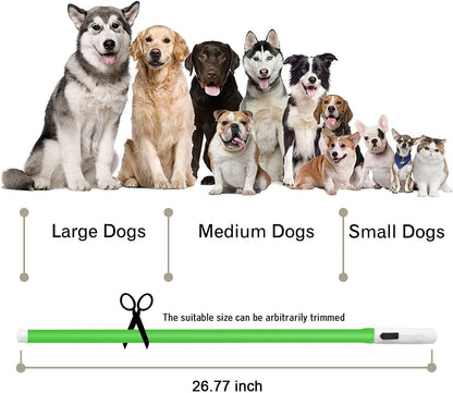 Illumifun LED Dog Collar – USB Rechargeable Light-Up Safety Collar for Small, Medium & Large Dogs (3 Glow Modes)