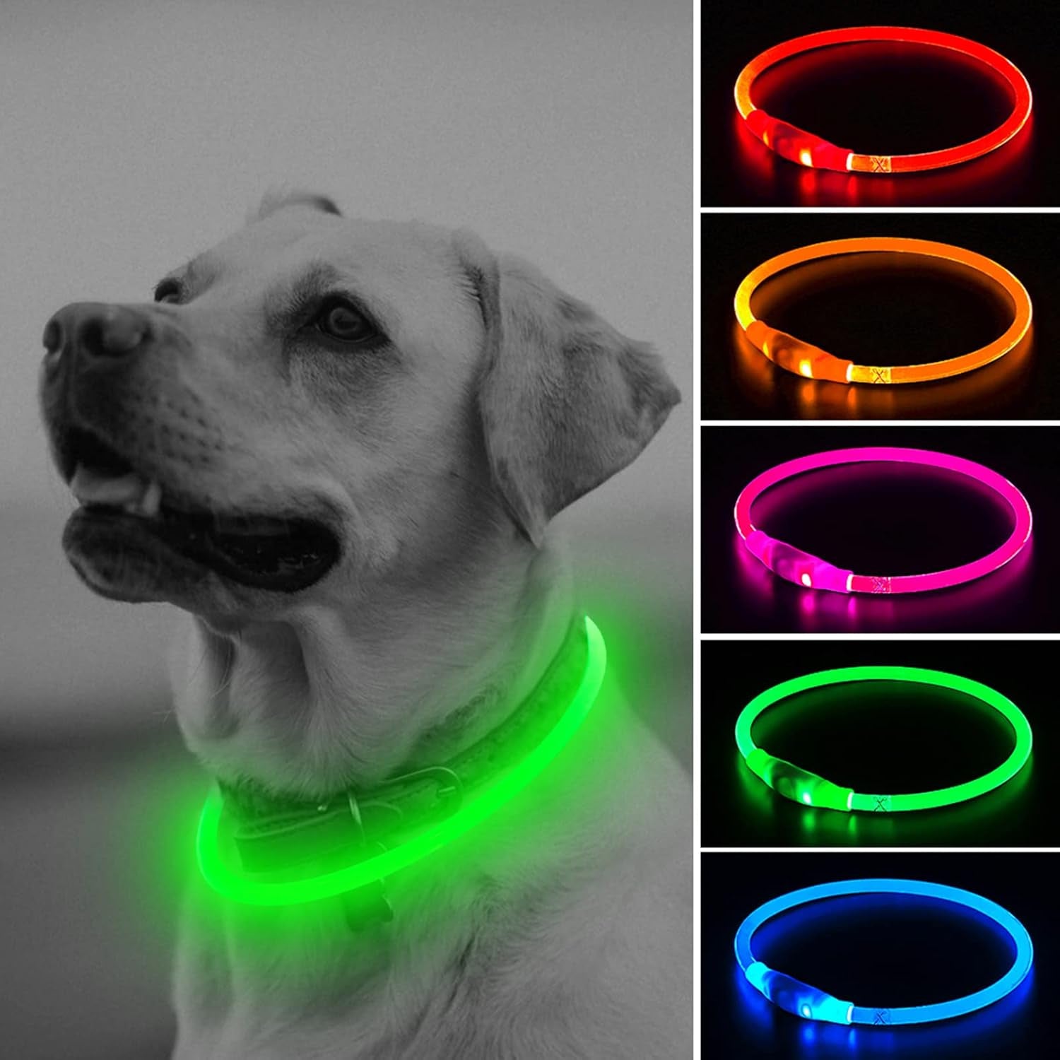 Illumifun LED Dog Collar – USB Rechargeable Light-Up Safety Collar for Small, Medium & Large Dogs (3 Glow Modes)