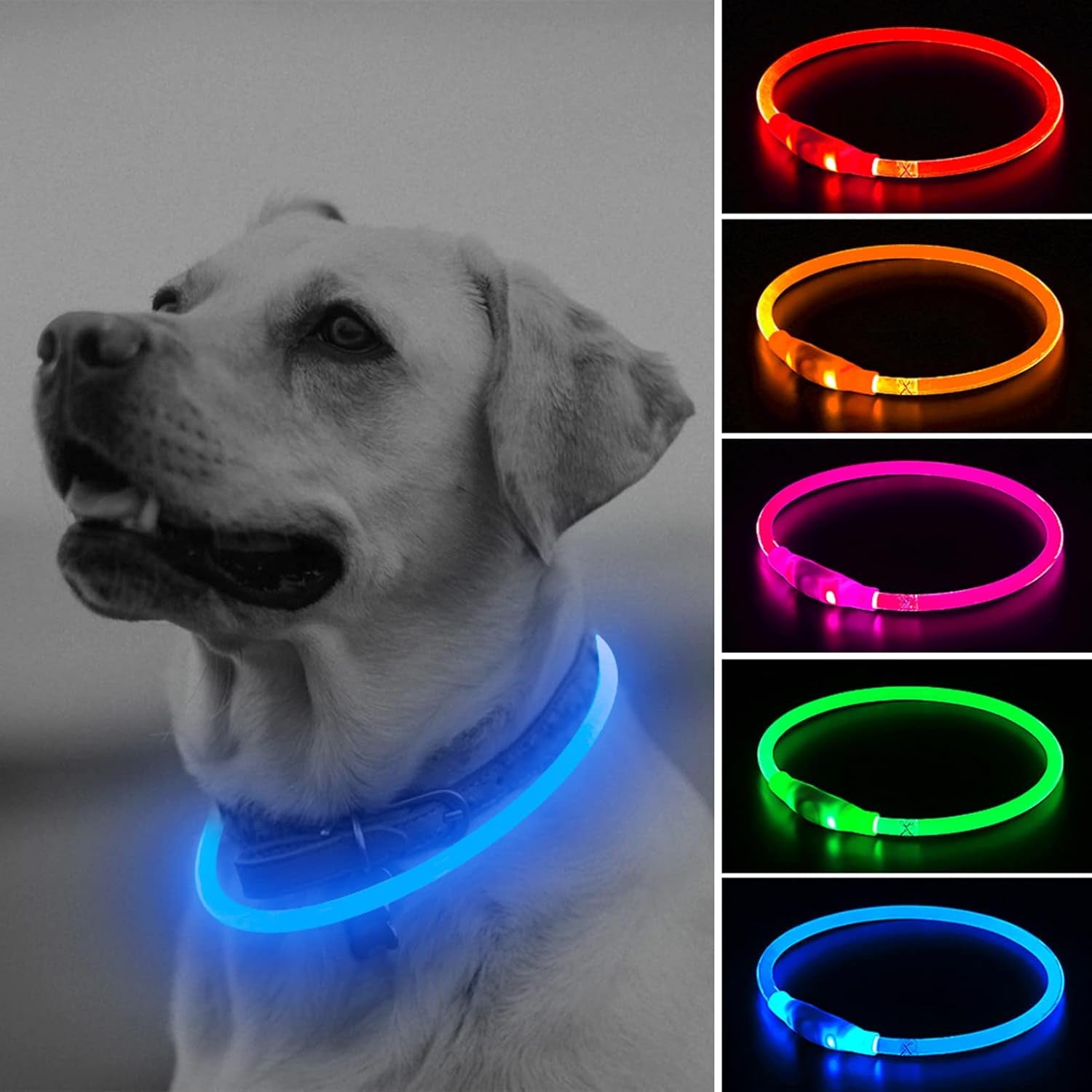 Illumifun LED Dog Collar – USB Rechargeable Light-Up Safety Collar for Small, Medium & Large Dogs (3 Glow Modes)