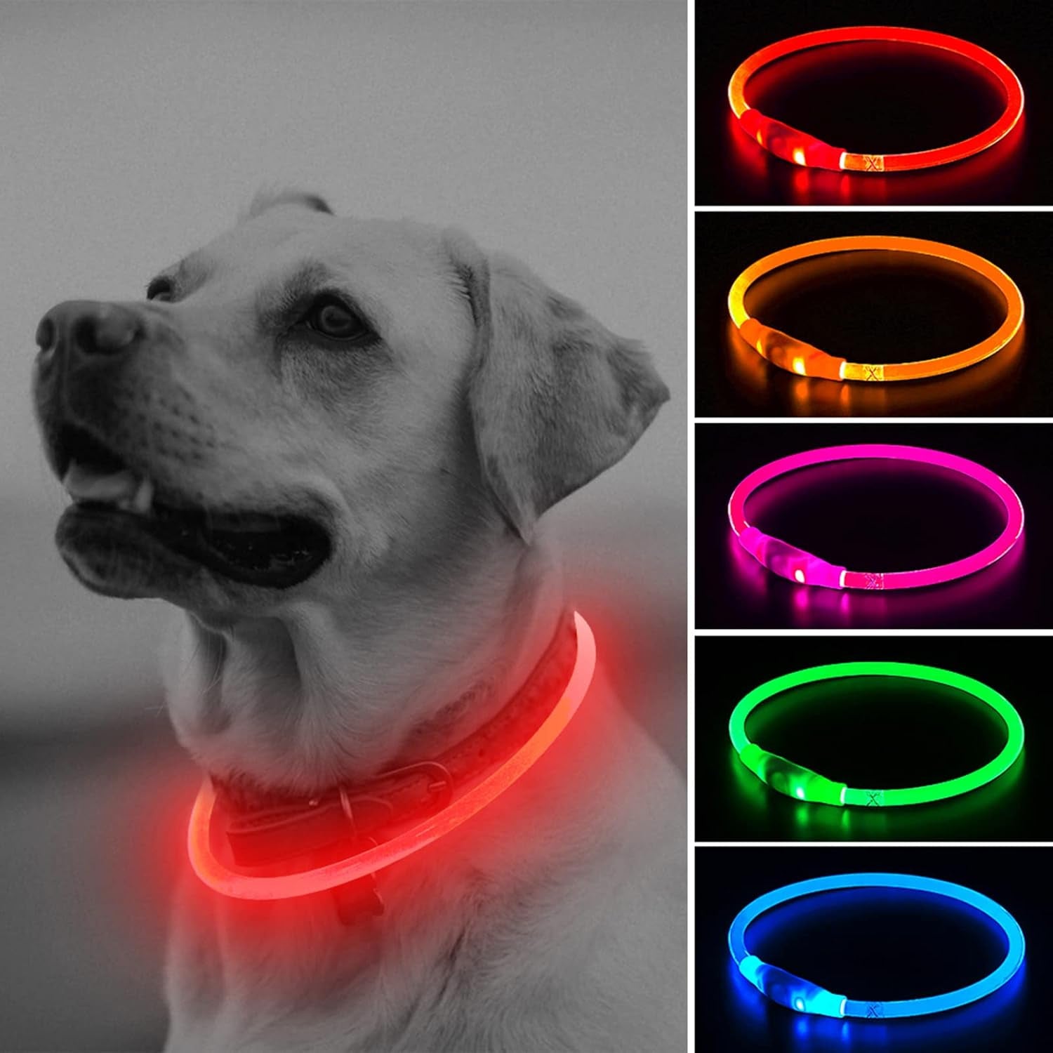 Illumifun LED Dog Collar – USB Rechargeable Light-Up Safety Collar for Small, Medium & Large Dogs (3 Glow Modes)