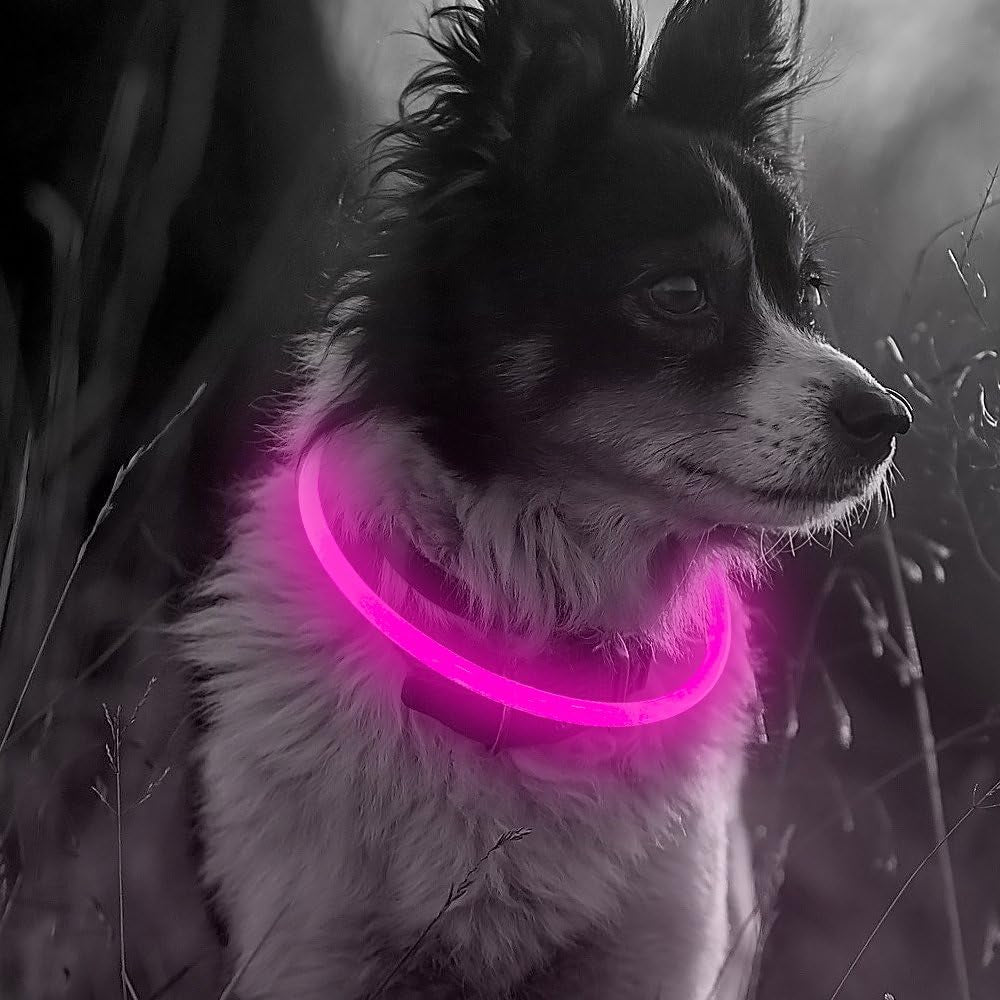 Illumifun LED Dog Collar – USB Rechargeable Light-Up Safety Collar for Small, Medium & Large Dogs (3 Glow Modes)