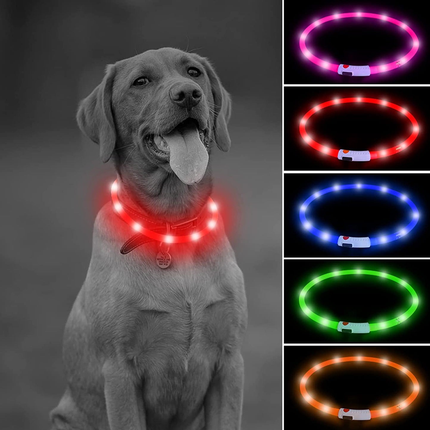 Illumifun LED Dog Collar – USB Rechargeable Light-Up Safety Collar for Small, Medium & Large Dogs (3 Glow Modes)