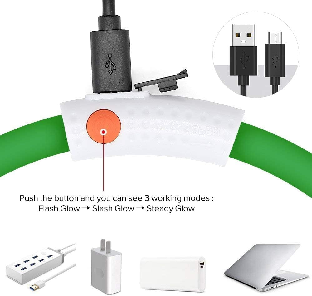 Illumifun LED Dog Collar – USB Rechargeable Light-Up Safety Collar for Small, Medium & Large Dogs (3 Glow Modes)